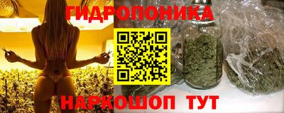 стафф Новодвинск