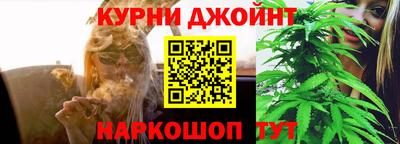 стафф Новодвинск