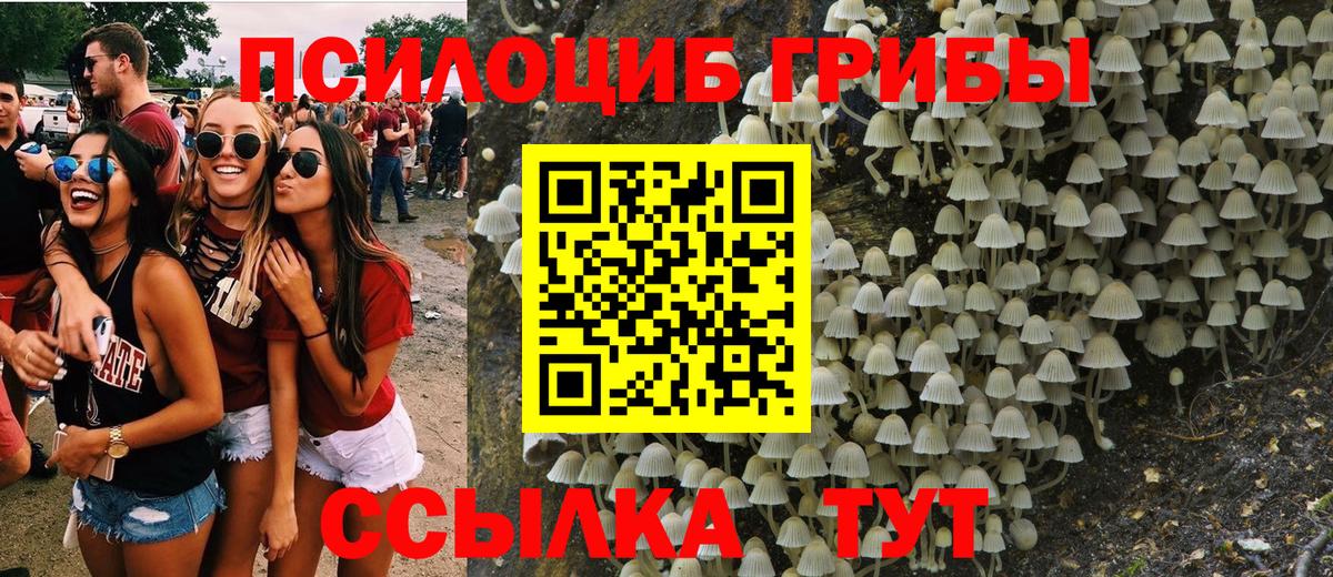 Галлюциногенные грибы Cubensis Старая Купавна