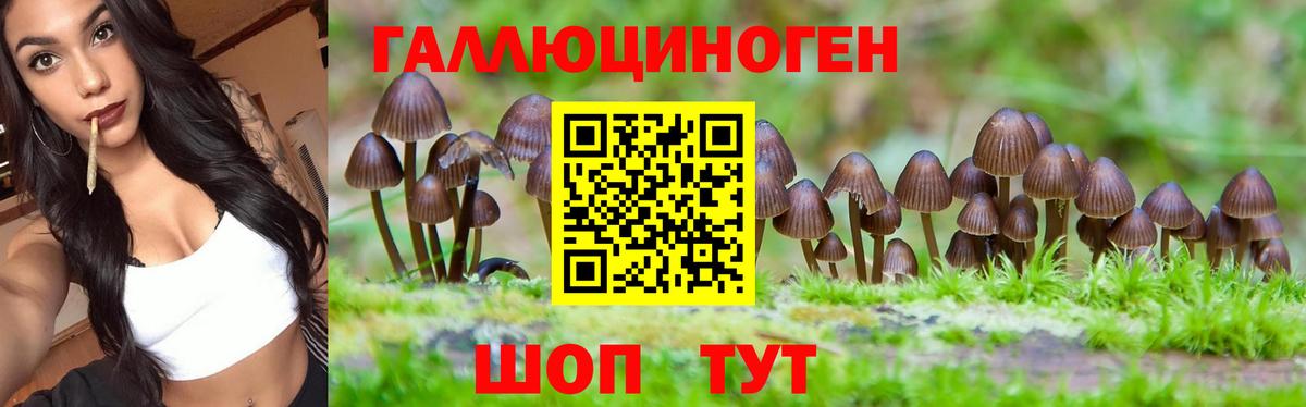 Старая Купавна  Галлюциногенные грибы Cubensis  Галлюциногенные грибы Magic Shrooms  Вход с VPN 